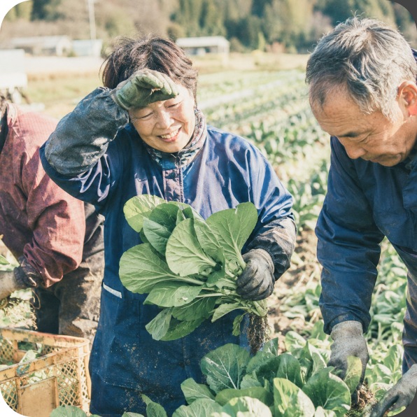 畑で収穫する人たち